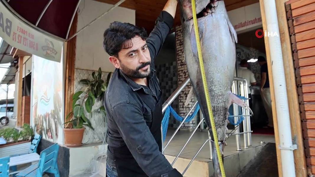 İnsan boyunda dev balık, görenlere küçük dilini yutturdu! O kentte sergileniyor 9